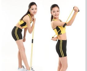 易威斯堡塑胸拉力器 價格、廠家與選購指南