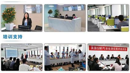 美國福祿克F319交直流數(shù)字鉗表 技術(shù)解析、選購指南與應(yīng)用場景